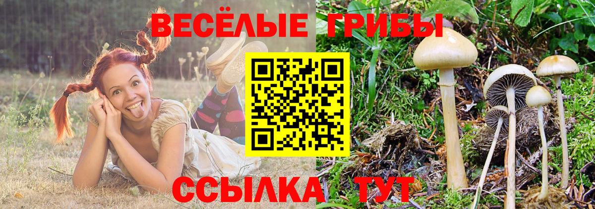 Будённовск  Галлюциногенные грибы ЛСД  Вход с VPN  Галлюциногенные грибы MAGIC MUSHROOMS 