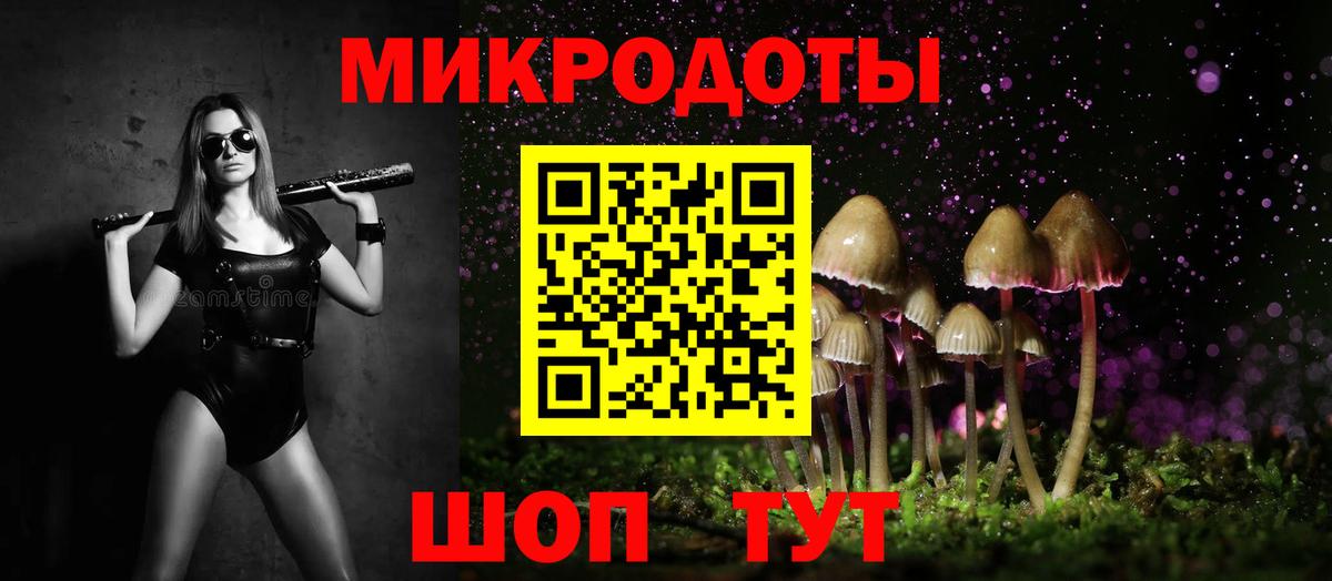 Галлюциногенные грибы Psilocybine cubensis Будённовск